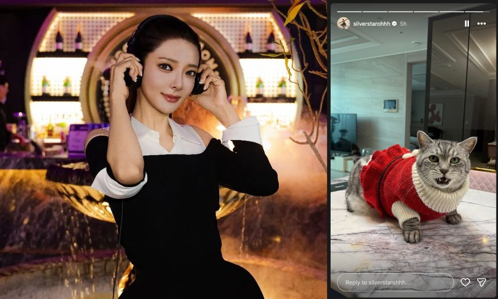 Silverstar Oh Slammed Again for Animal Cruelty: Cat Forced Into Costume for Instagram Clout Silverstar Oh Slammed Again for Animal Cruelty: Cat Forced Into Costume for Instagram Clout