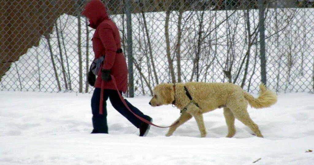 Ottawa Faces Frigid Night with -31 Wind Chill Alert