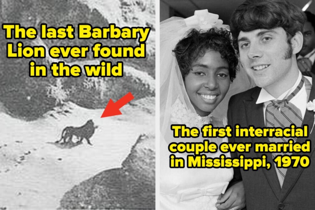 77 Stunning Historical Photos That Reshape Views of the Past 77 Stunning Historical Photos That Reshape Views of the Past