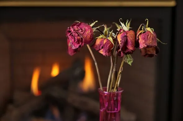 Florists’ 4 Steps to Stop Flowers Wilting and Smelling Foul Fast Florists’ 4 Steps to Stop Flowers Wilting and Smelling Foul Fast