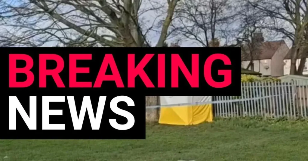Teen Girl Hospitalized After Sex Assault in Romford Park, Man Arrested