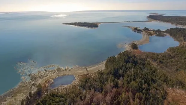 France Weighs Nova Scotia Sanctuary for Orcas Wikie and Keijo France Weighs Nova Scotia Sanctuary for Orcas Wikie and Keijo