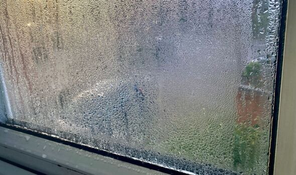 15-Minute Daily Habit Experts Recommend to Eliminate Window Condensation 15-Minute Daily Habit Experts Recommend to Eliminate Window Condensation