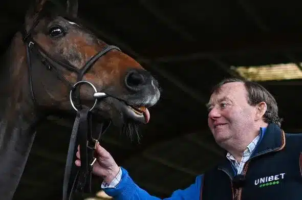 Constitution Hill Parades at Cheltenham After Hurdle Withdrawal Constitution Hill Parades at Cheltenham After Hurdle Withdrawal
