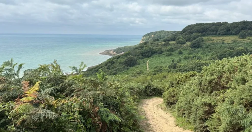 East Sussex Staycation: Hidden Gems Beyond Rye and Hastings