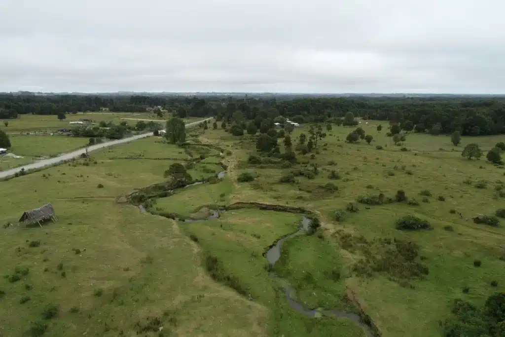 Study Disputes Monte Verde’s 14,500-Year Human Settlement Age