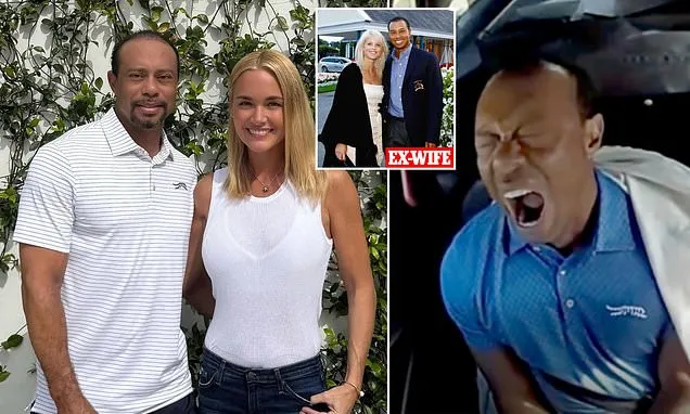 Tiger Woods DUI Arrest Leads to Rehab Amid Scandal-Plagued Past Tiger Woods DUI Arrest Leads to Rehab Amid Scandal-Plagued Past