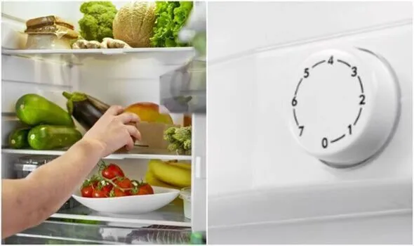 Fridge Dial Numbers Explained: Higher Means Colder, Not Degrees Fridge Dial Numbers Explained: Higher Means Colder, Not Degrees