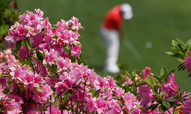 Masters Tournament Thrives on Upholding Golf Traditions Masters Tournament Thrives on Upholding Golf Traditions