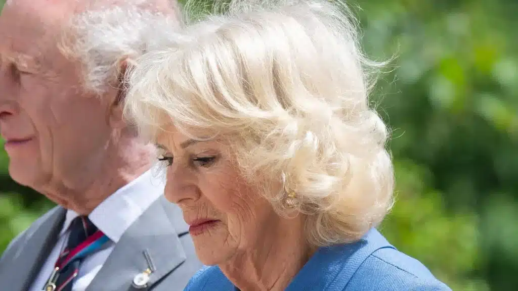 Queen Camilla Swats Bee at Arlington During King Charles US Visit