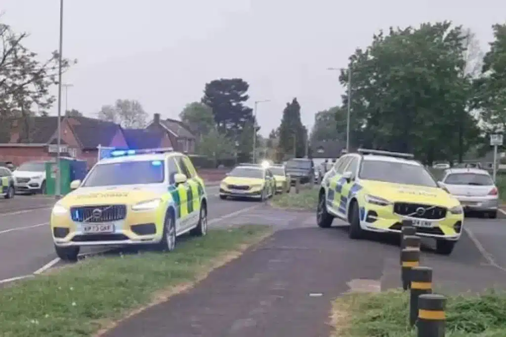Teenager Dies After Falling Tree Hits Him in Stafford, Cordon Erected