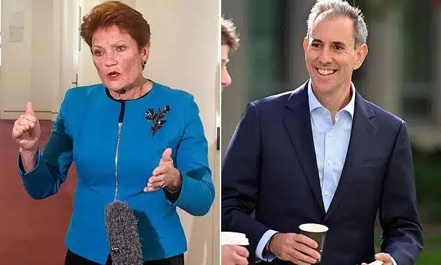 Pauline Hanson Slams Labor Budget, Pushes Income Tax Split Plan Pauline Hanson Slams Labor Budget, Pushes Income Tax Split Plan