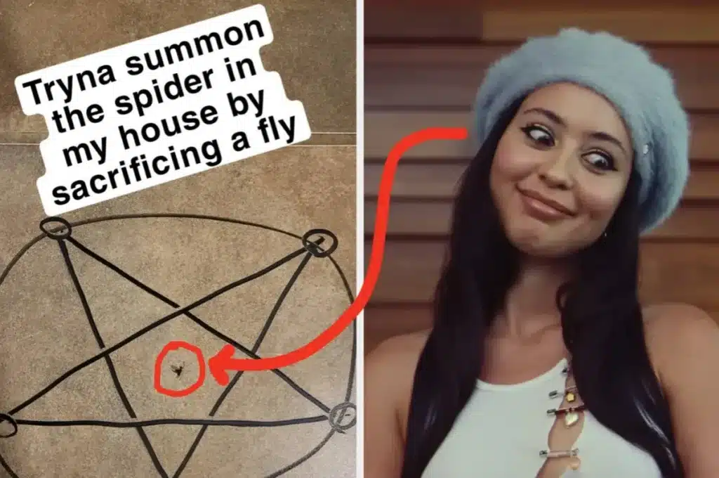Hilarious Moments Captured: Unforgettable Sights from the Internet