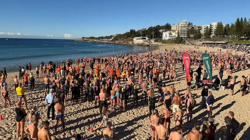 Community Swims to Support Shark Attack Victim at Sydney Beach Community Swims to Support Shark Attack Victim at Sydney Beach