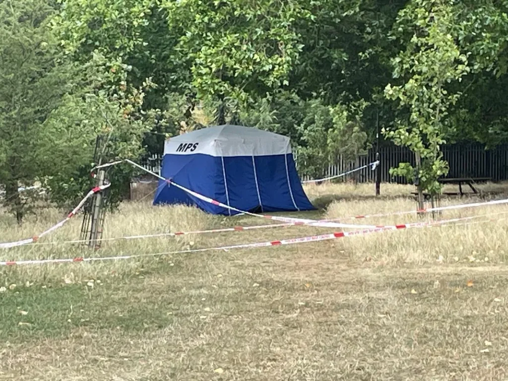 Man Fatally Stabbed in Hackney Downs Park Attack Man Fatally Stabbed in Hackney Downs Park Attack