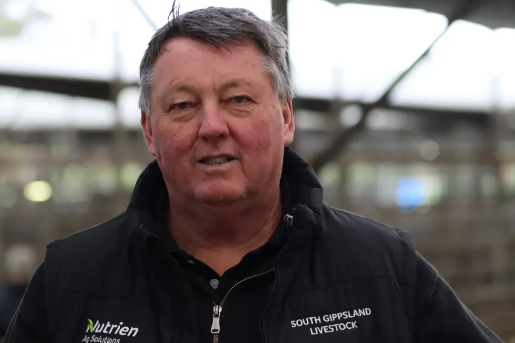 Cattle Prices Rise at Leongatha Prime Sale Amid Global Market Shifts