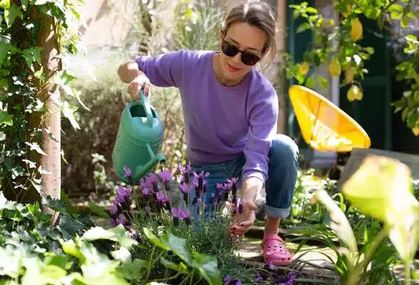 Garden Blunders Could Cost Homeowners Tens of Thousands Garden Blunders Could Cost Homeowners Tens of Thousands