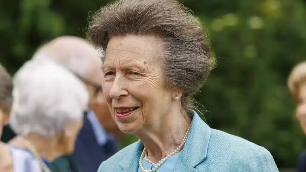 Princess Anne Revives 1970s Flippy Dress for Royal Engagement