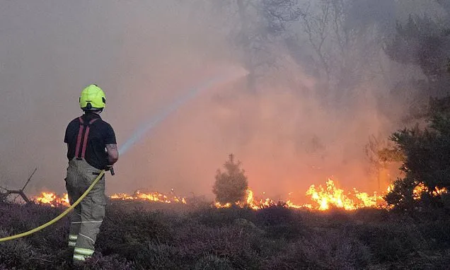 UK Wildfires: Is Green Policy Fueling Blazes More Than Climate? UK Wildfires: Is Green Policy Fueling Blazes More Than Climate?