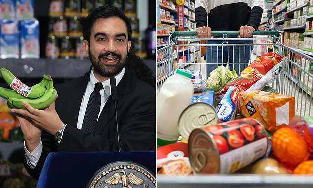 NYC Grocery ID Plan Sparks Hypocrisy Claims Amid Voter ID Debate NYC Grocery ID Plan Sparks Hypocrisy Claims Amid Voter ID Debate