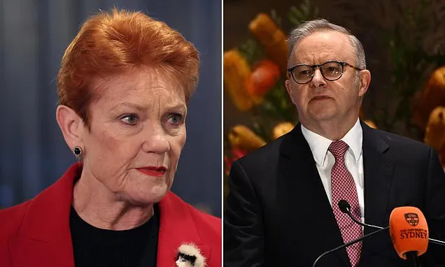 Pauline Hanson: Australia Facing Million Migrants Under Current Government Pauline Hanson: Australia Facing Million Migrants Under Current Government