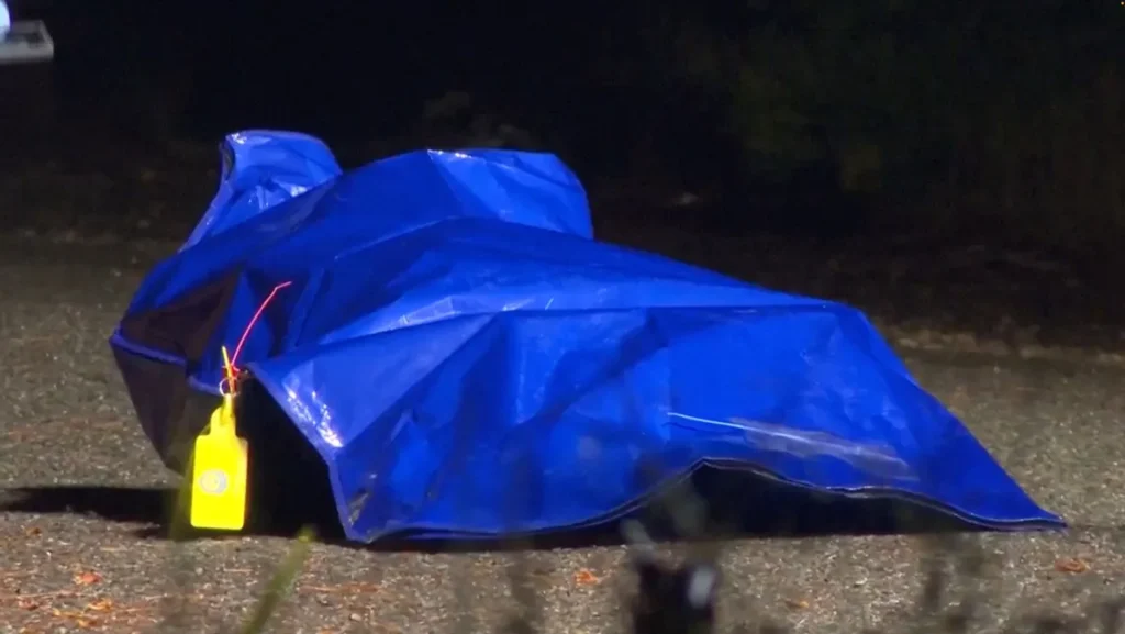 Police Operation Ends After ‘Body’ in Suitcase Revealed as Realistic Sex Doll