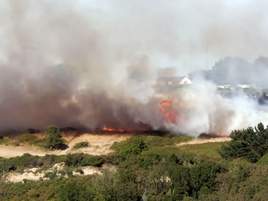 Wildfire Engulfs Cornwall Golf Club Amidst Heatwave Wildfire Engulfs Cornwall Golf Club Amidst Heatwave