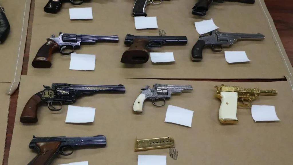 NSW Gun Buyback: Up to 274,000 Firearms Expected to be Surrendered