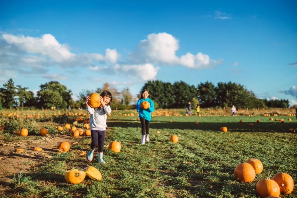 London’s Top 12 Pumpkin Patches for Autumnal Fun London’s Top 12 Pumpkin Patches for Autumnal Fun